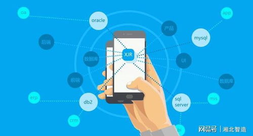 智能時(shí)代,快速開發(fā)平臺(tái)將成為主流軟件開發(fā)工具